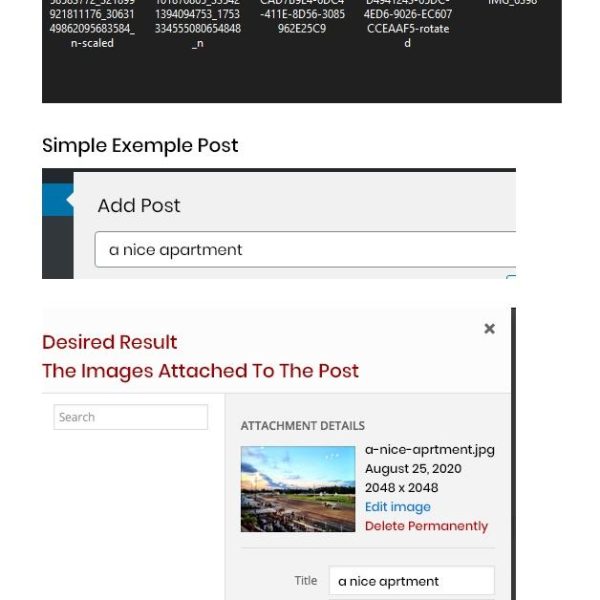 Every Workout Counts: Steps Toward Your Dream Fitness Journey