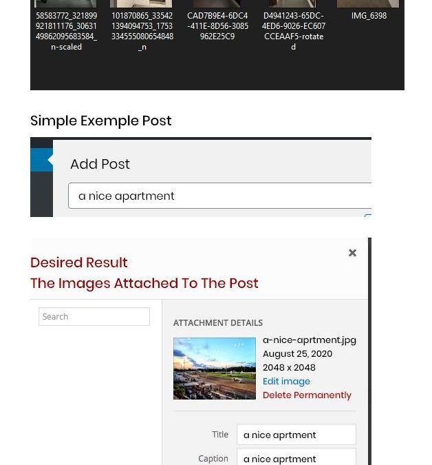 Step by Step: How Every Workout Brings You Closer to Your Dreams
