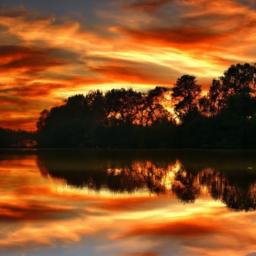 Evening Reflections: Tracking Progress and Cultivating Gratitude for Tomorrow