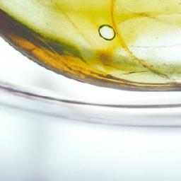 Creating Intentional Mornings to Set the Tone for the Day