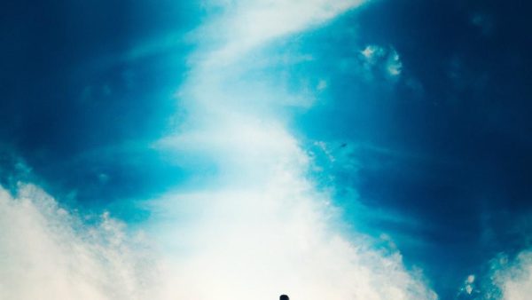 Embrace Every Small Victory: The Pathway to Transformative Success