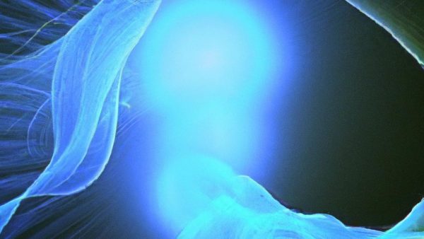 Little Triumphs, Big Transformations: Embracing Every Step of the Journey