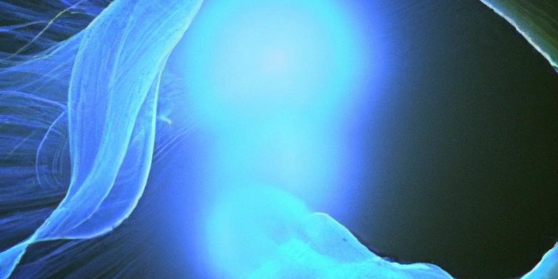 Little Triumphs, Big Transformations: Embracing Every Step of the Journey