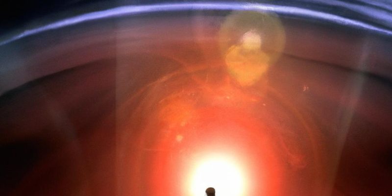 Embracing the Journey: Cherishing Every Step Towards Better Health