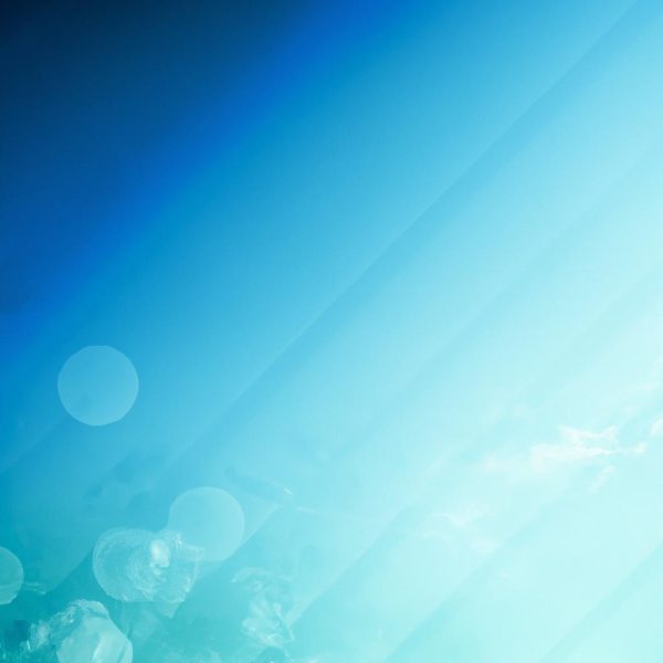 From Small Wins to Big Change: The Power of Celebrating Every Step Forward