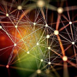 Strategies to Maintain Momentum ‌Through Life's Transformations