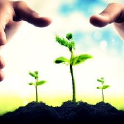 Identifying Common⁤ Excuses that Hold Us Back