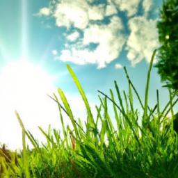 Mindset Shifts: Cultivating the Habit of Gratitude⁤ in Daily‌ Achievements